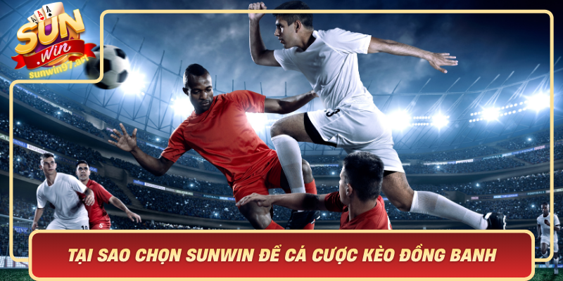 Tai Sao Chon Sunwin De Ca Cuoc Keo Dong Banh Loi Ich Vuot Troi