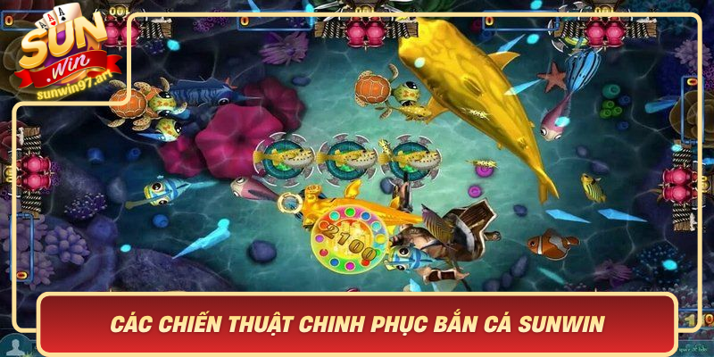 Cac Chien Thuat Chinh Phuc Ban Ca Sunwin Hieu Qua