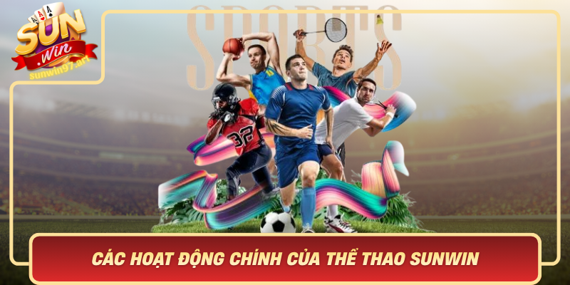 Cac Hoat Dong Chinh Cua The Thao Sunwin Da Dang Va Hap Dan