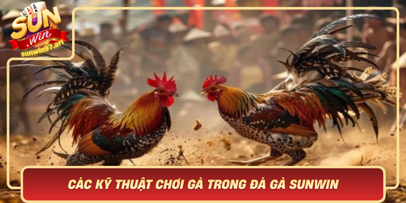 Cac Ky Thuat Choi Ga Trong Da Ga Sunwin Chien Thuat Tinh Te Va Dang Cap