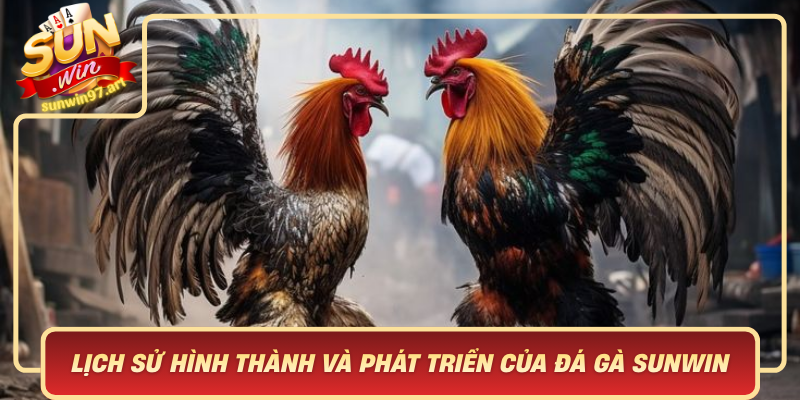 Lich Su Hinh Thanh Va Phat Trien Cua Da Ga Sunwin Truyen Thong Dam Da Ban Sac Viet
